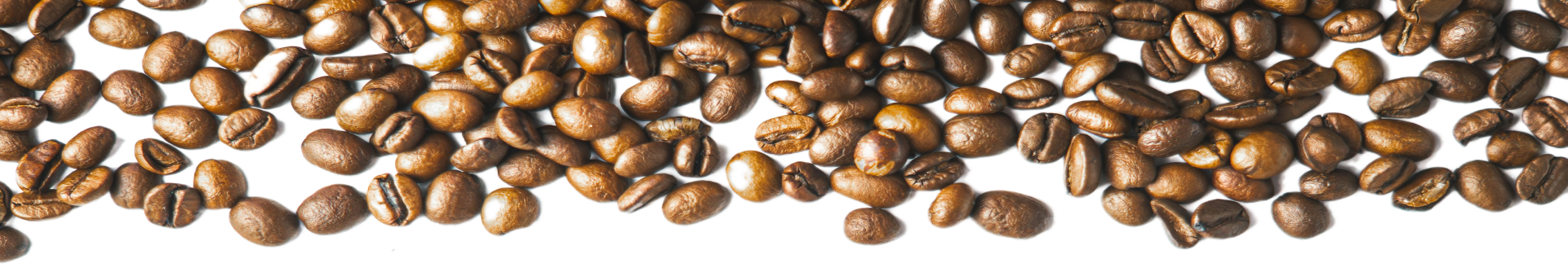 الرئيسية